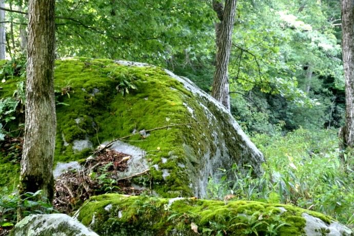 moss-covered-rocks-at-ten-mile-west-virginia-1584768